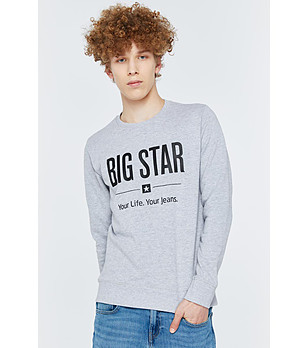 Памучна мъжка блуза в сив меланж Ecodort снимка