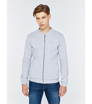 Сиво памучно мъжко спортно горнище Raiden снимка