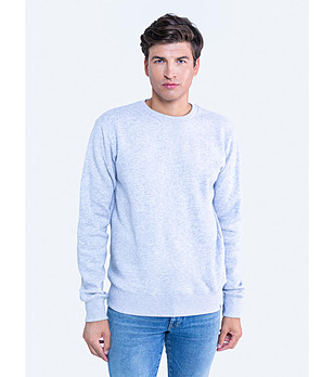 Мъжка памучна блуза в светлосив нюанс Marltones снимка