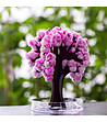 Миниатюрно дърво Magic Sakura-0 снимка