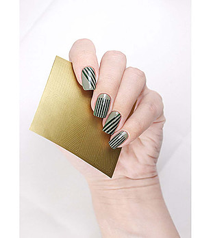 Шаблон за нокти Zebra снимка