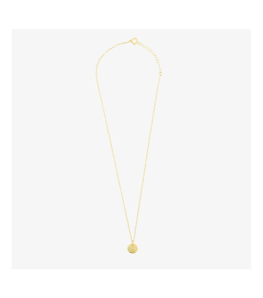 Дамско златисто колие с медальон снимка