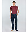 Памучна мъжка блуза с яка в бургунд Poller-2 снимка