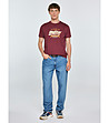 Мъжка памучна тениска в цвят бургунд Briss-2 снимка