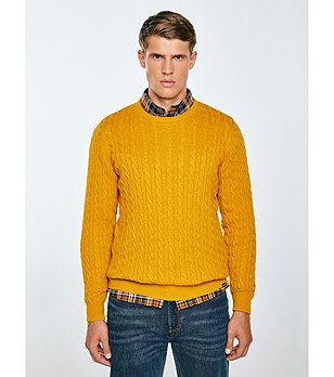 Мъжки памучен пуловер в жълто AMARIS снимка